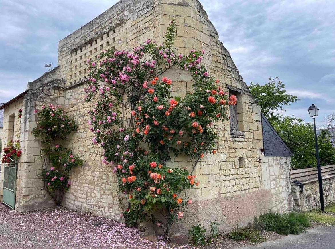Apartmán Le Colombier Le Coudray-Macouard Exteriér fotografie